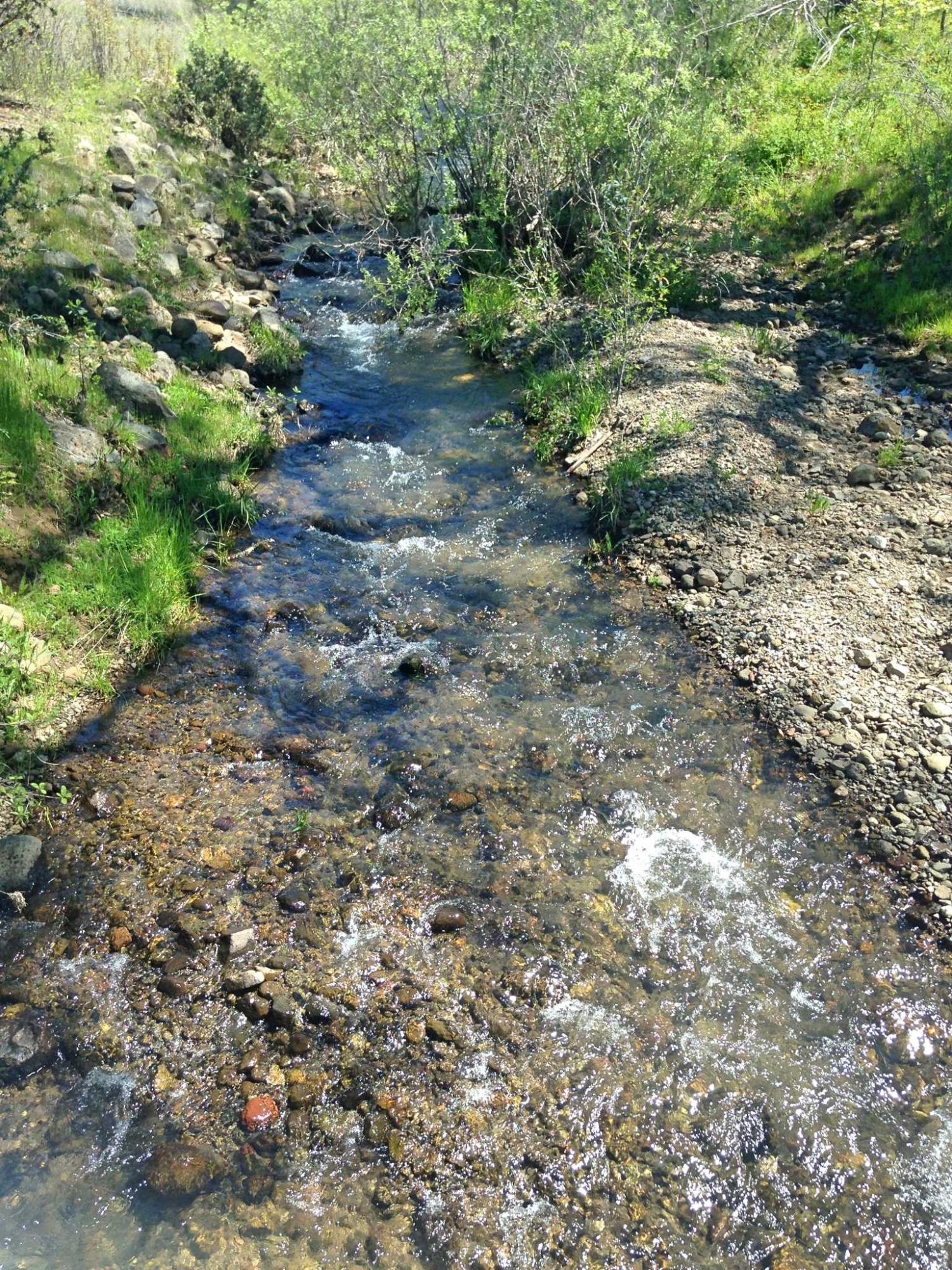 173-acres Shingletown Ridge Road Shingletown, CA 96088 - Photo 2 of 28 Ash Creek