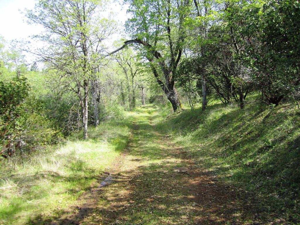 173-acres Shingletown Ridge Road Shingletown, CA 96088 - Photo 21 of 28 Road throuh property