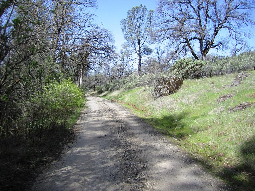 173-acres Shingletown Ridge Road Shingletown, CA 96088 - Photo 23 of 28 Shingletown Ridge Road
