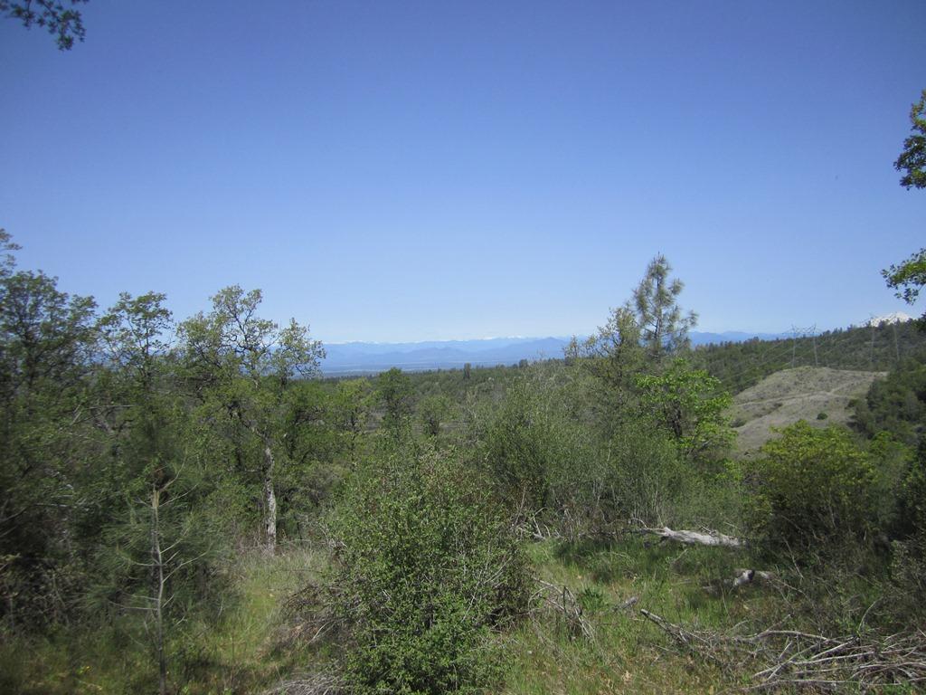 173-acres Shingletown Ridge Road Shingletown, CA 96088 - Photo 25 of 28 Valley view