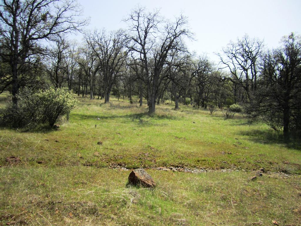 173-acres Shingletown Ridge Road Shingletown, CA 96088 - Photo 5 of 28 oak terrain