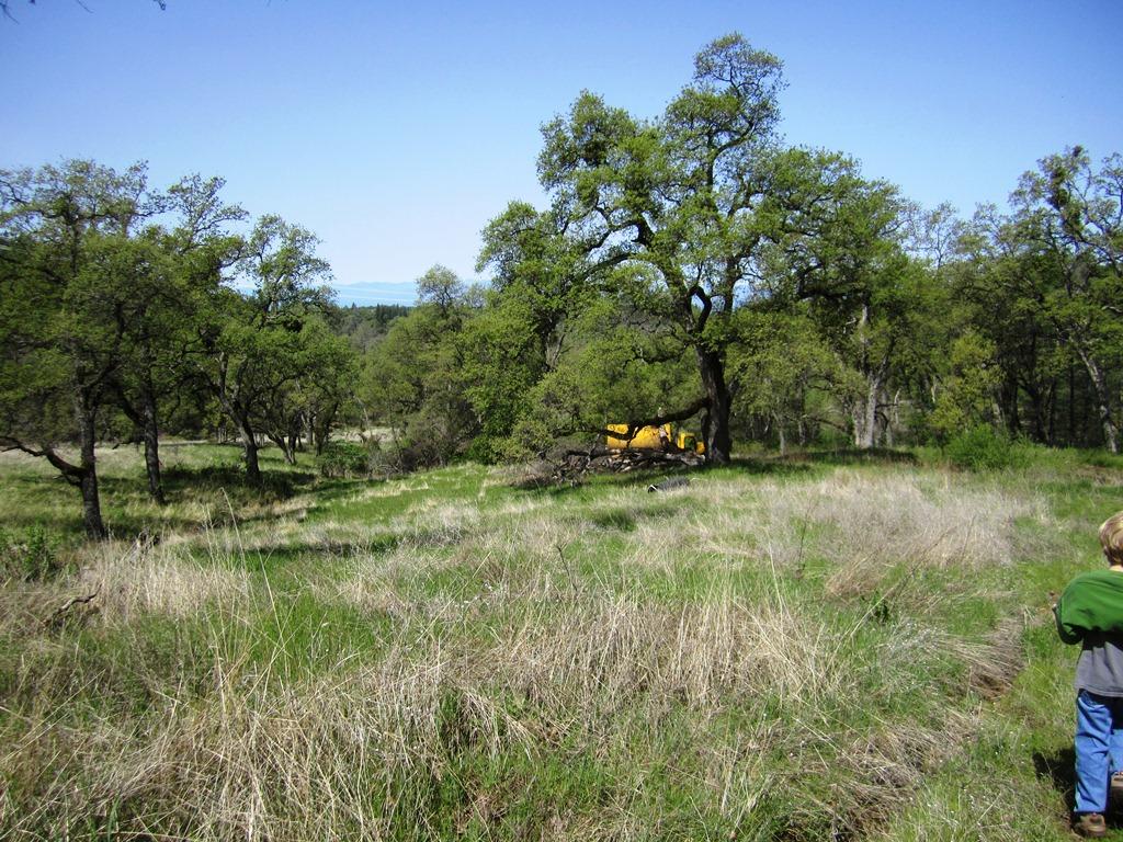 173-acres Shingletown Ridge Road Shingletown, CA 96088 - Photo 7 of 28 another meadow shot