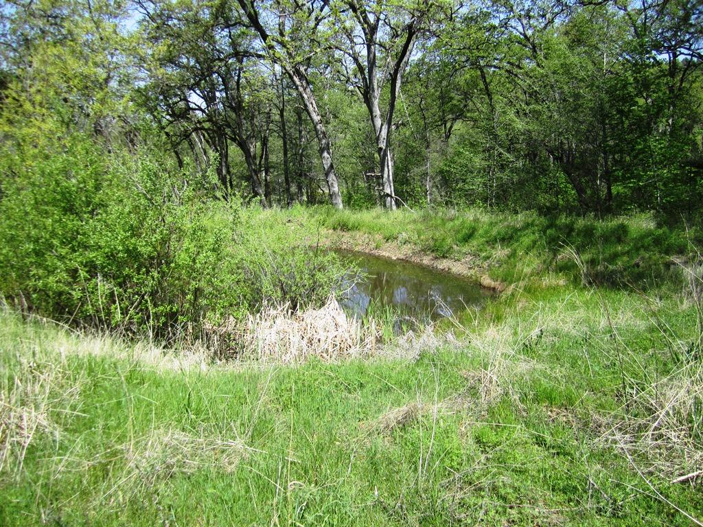 173-acres Shingletown Ridge Road Shingletown, CA 96088 - Photo 9 of 28 year round pond