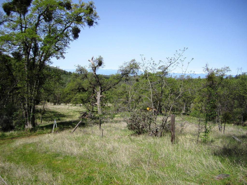173-acres Shingletown Ridge Road Shingletown, CA 96088 - Photo 10 of 28 green meadow