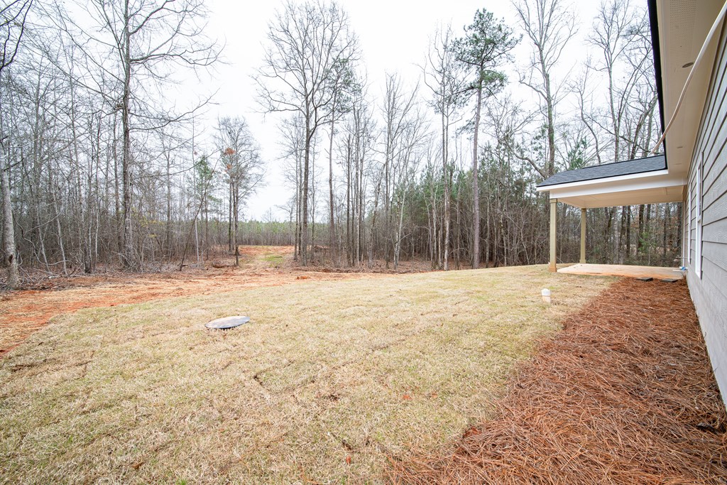 181 Twin Lakes Road Waverly Hall, GA 31831 - Photo 9 of 9 a view of outdoor space with deck and tree