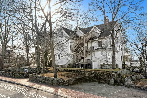 a street view with large trees