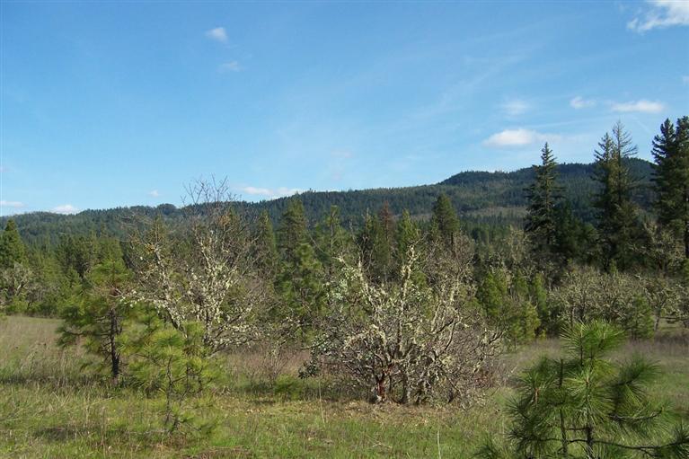 0 Derby Road Eagle Point, OR 97524 - Photo 4 of 12 Additional Photo