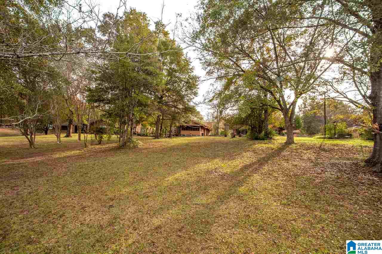 202 Blue Eye Road West Lincoln, AL 35096 - Photo 34 of 35