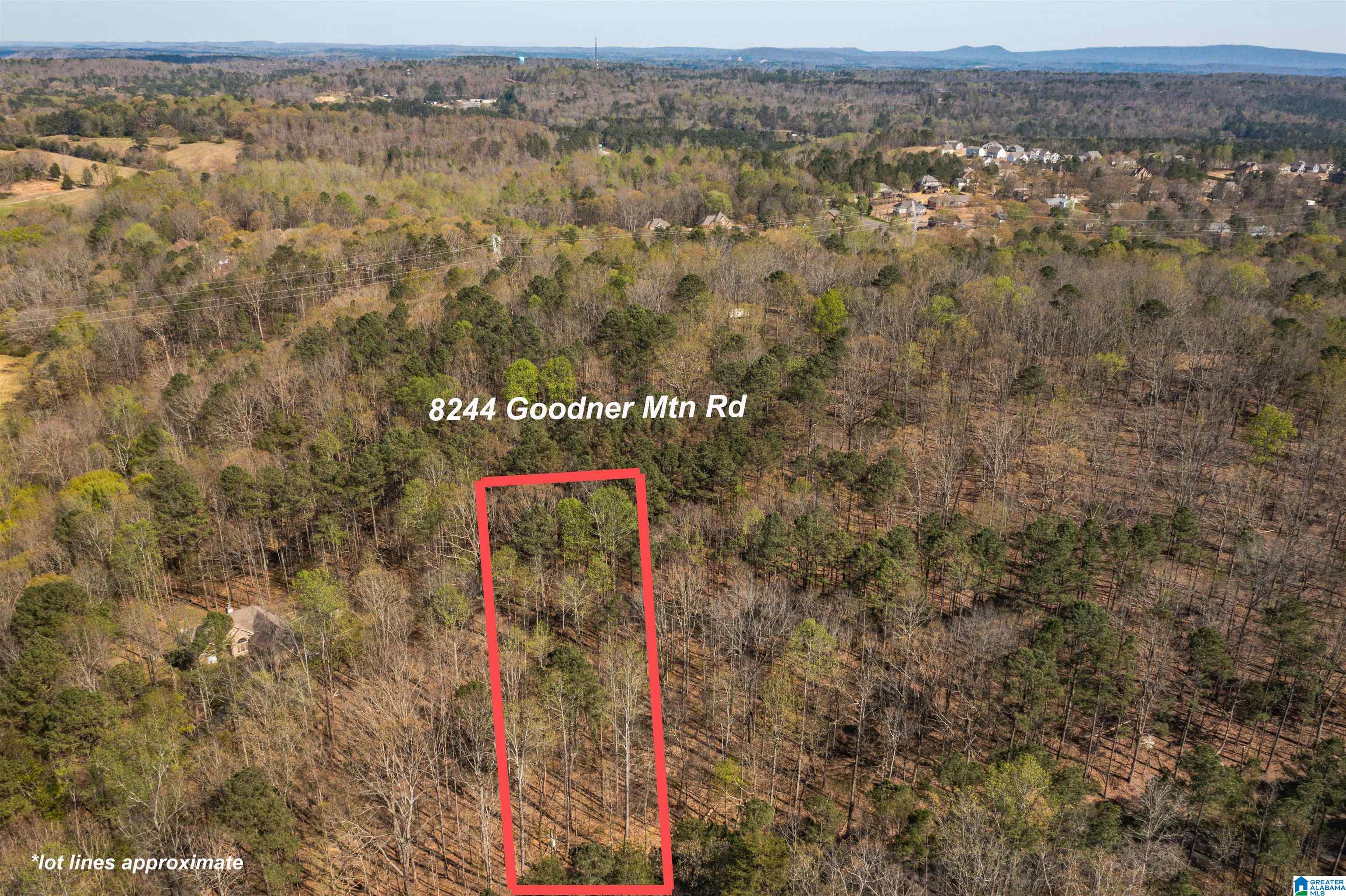8244 Goodner Mountain Road, Unit 8244 Trussville, AL 35173 - Photo 2 of 6