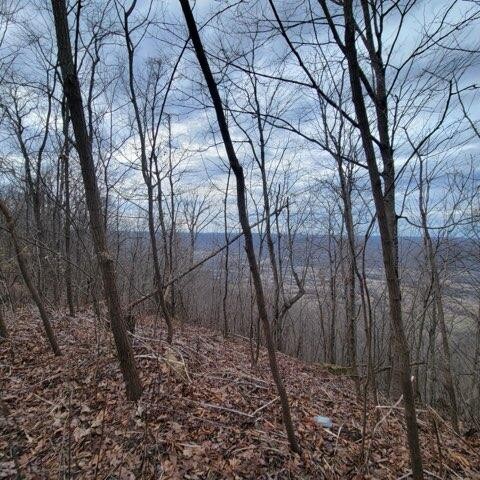 0 Little Bedford Rd Spring Pikeville, TN 37367 - Photo 10 of 14