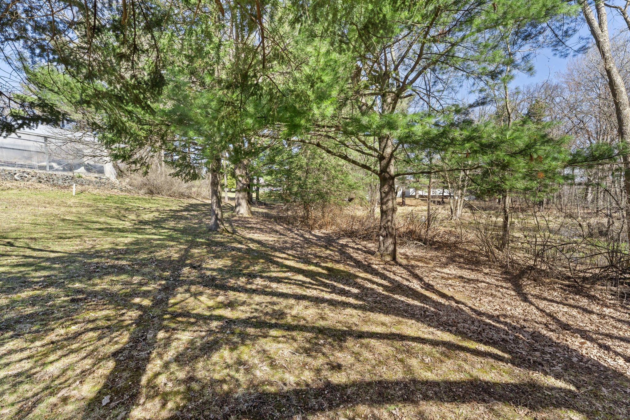960 Sylvan Street Cumberland, WI 54829 - Photo 7 of 52