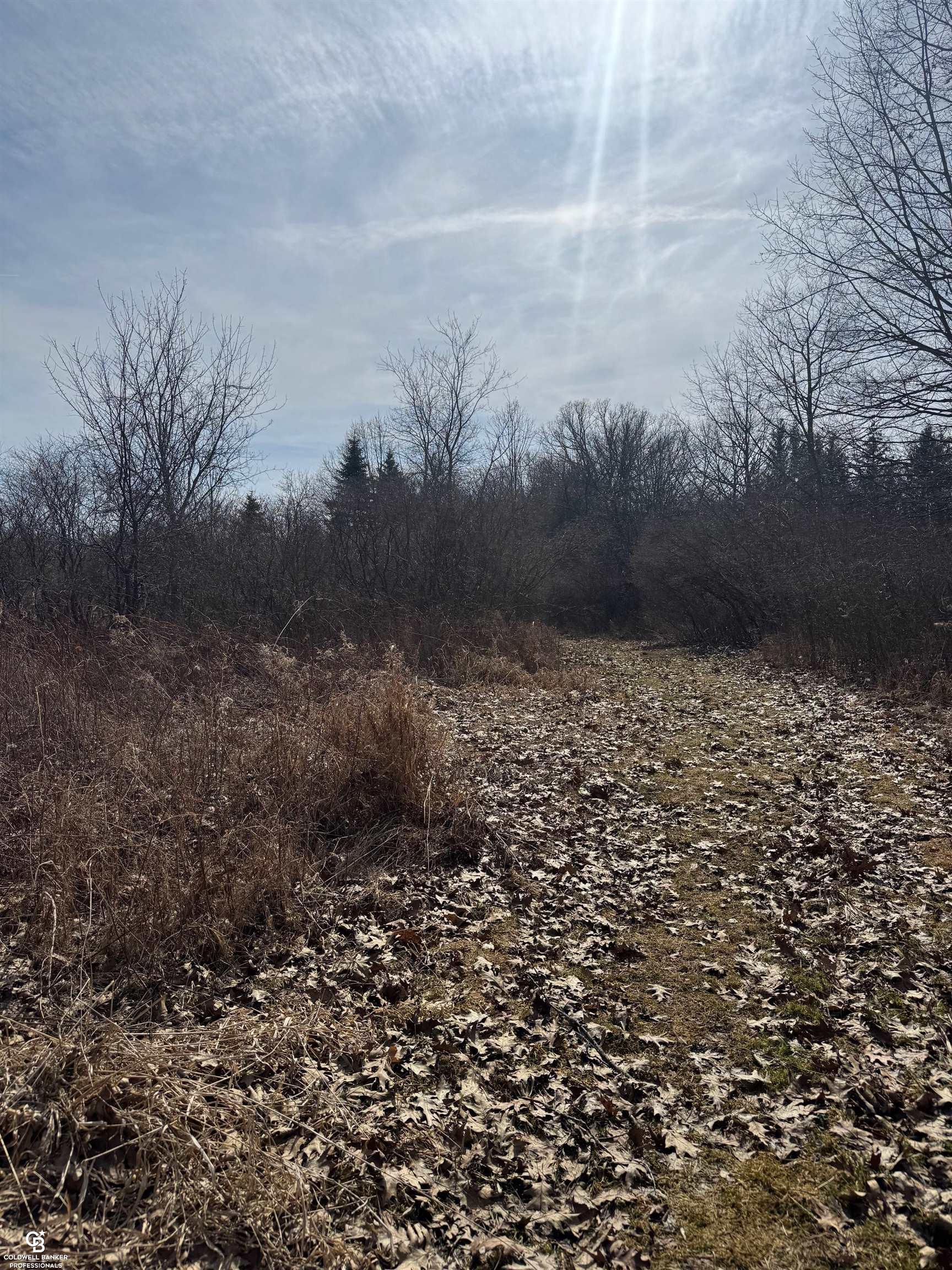 11105 Bryce Road Emmett, MI 48022 - Photo 24 of 44 50169414-c945cfac-e542-4276-9f85-f8dd3879de29.JPG