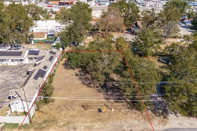 a view of a yard with plants and large trees