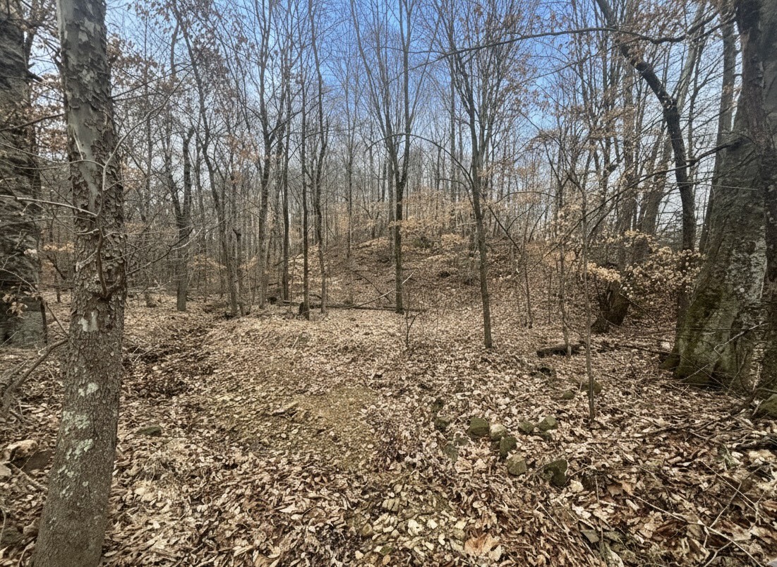 0 Brown Mill Road McEwen, TN 37101 - Photo 8 of 20 Gallery Image 8