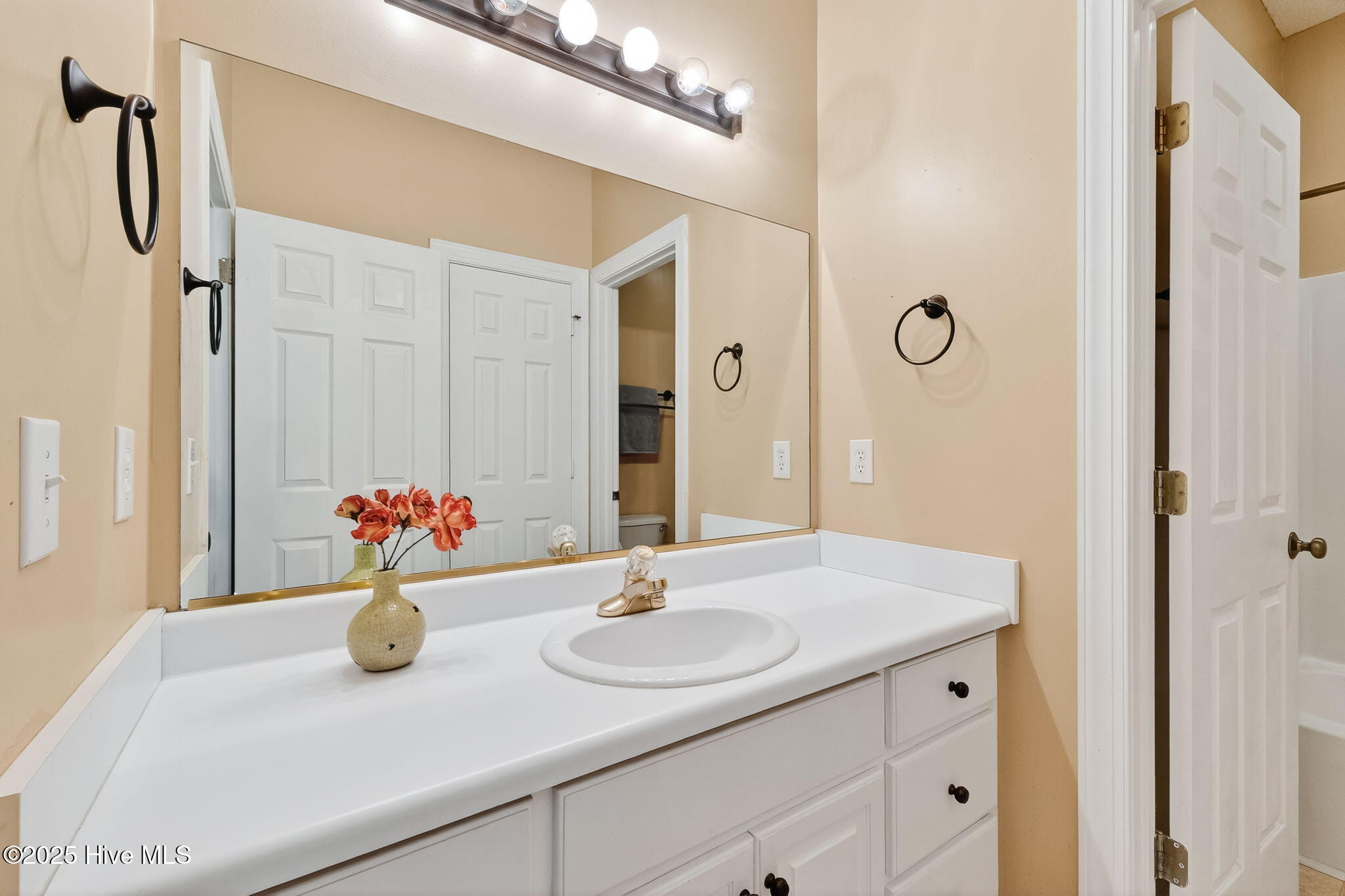 107 West Raintree Lane Goldsboro, NC 27534 - Photo 14 of 55 Guest Bathroom 1