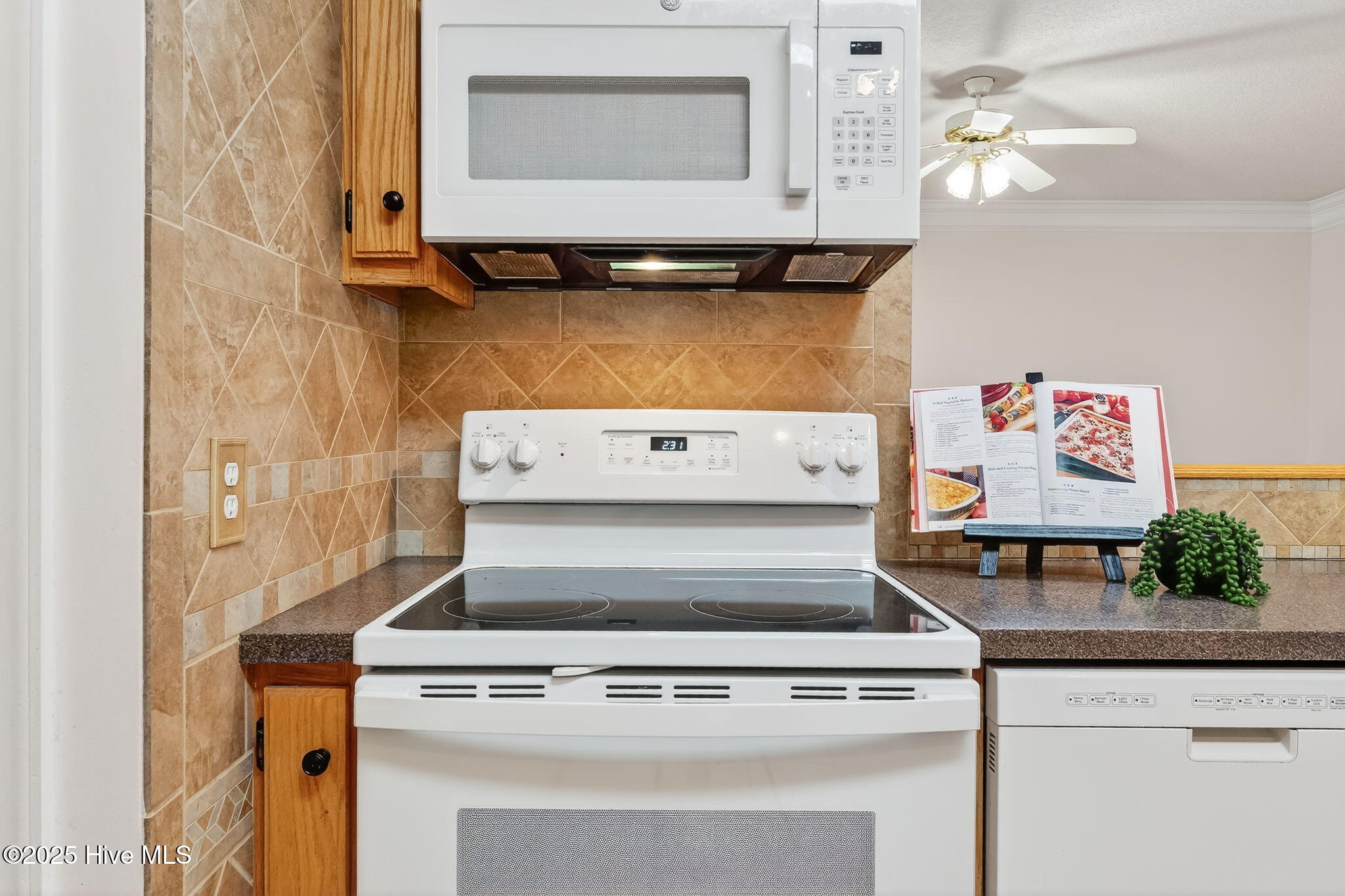 107 West Raintree Lane Goldsboro, NC 27534 - Photo 31 of 55 Kitchen