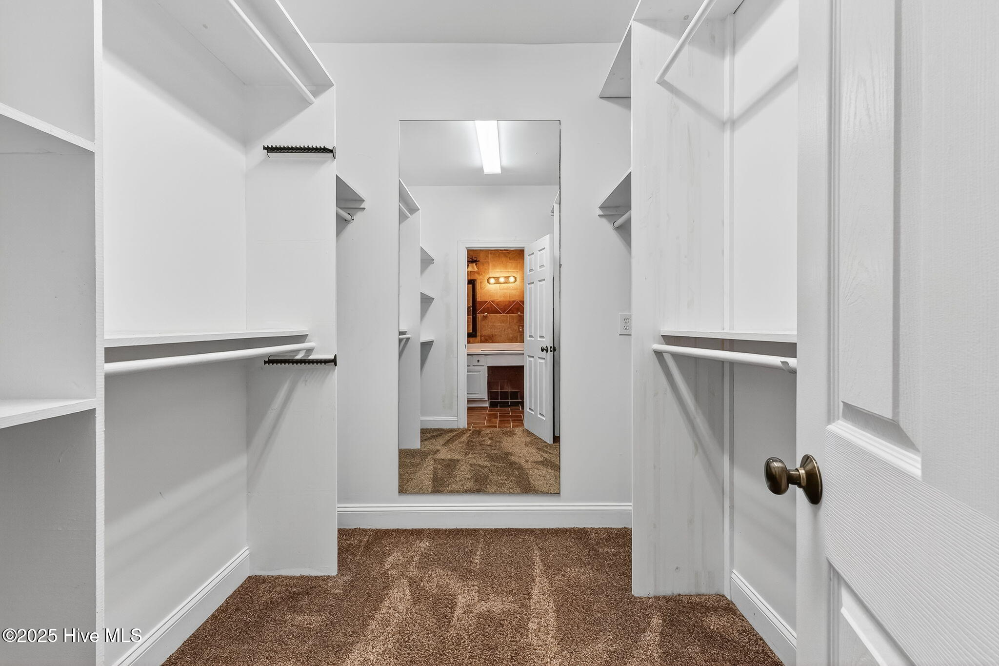 107 West Raintree Lane Goldsboro, NC 27534 - Photo 41 of 55 Owners Suite Closet