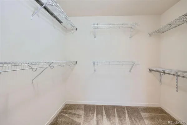 $3,395 | 14000 Touchstone Point, Parker, CO 80134