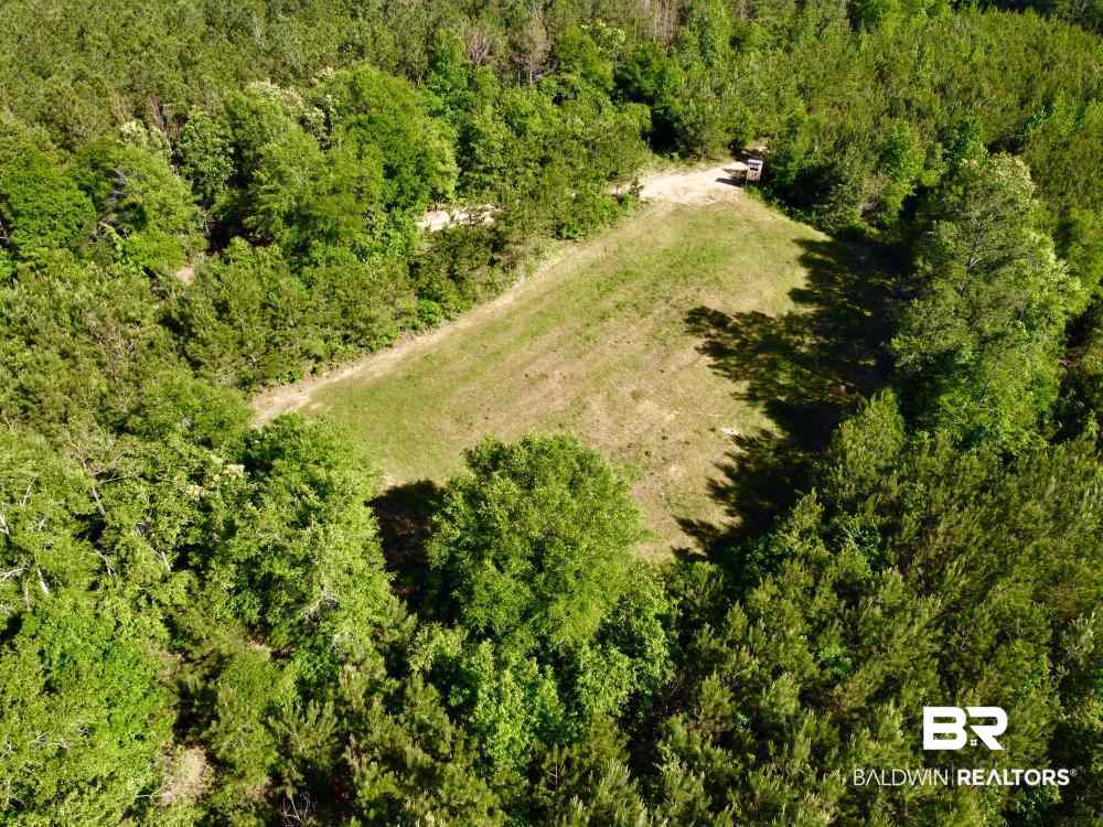 0 Country Road Uriah, AL 36480 - Photo 16 of 49