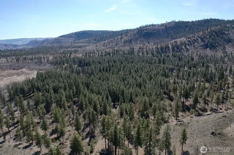 a view of a lush green forest with mountains in the background