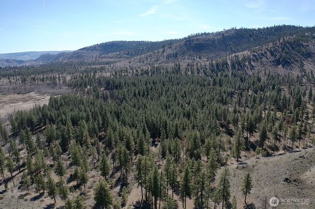 a view of a lush green forest with mountains in the background