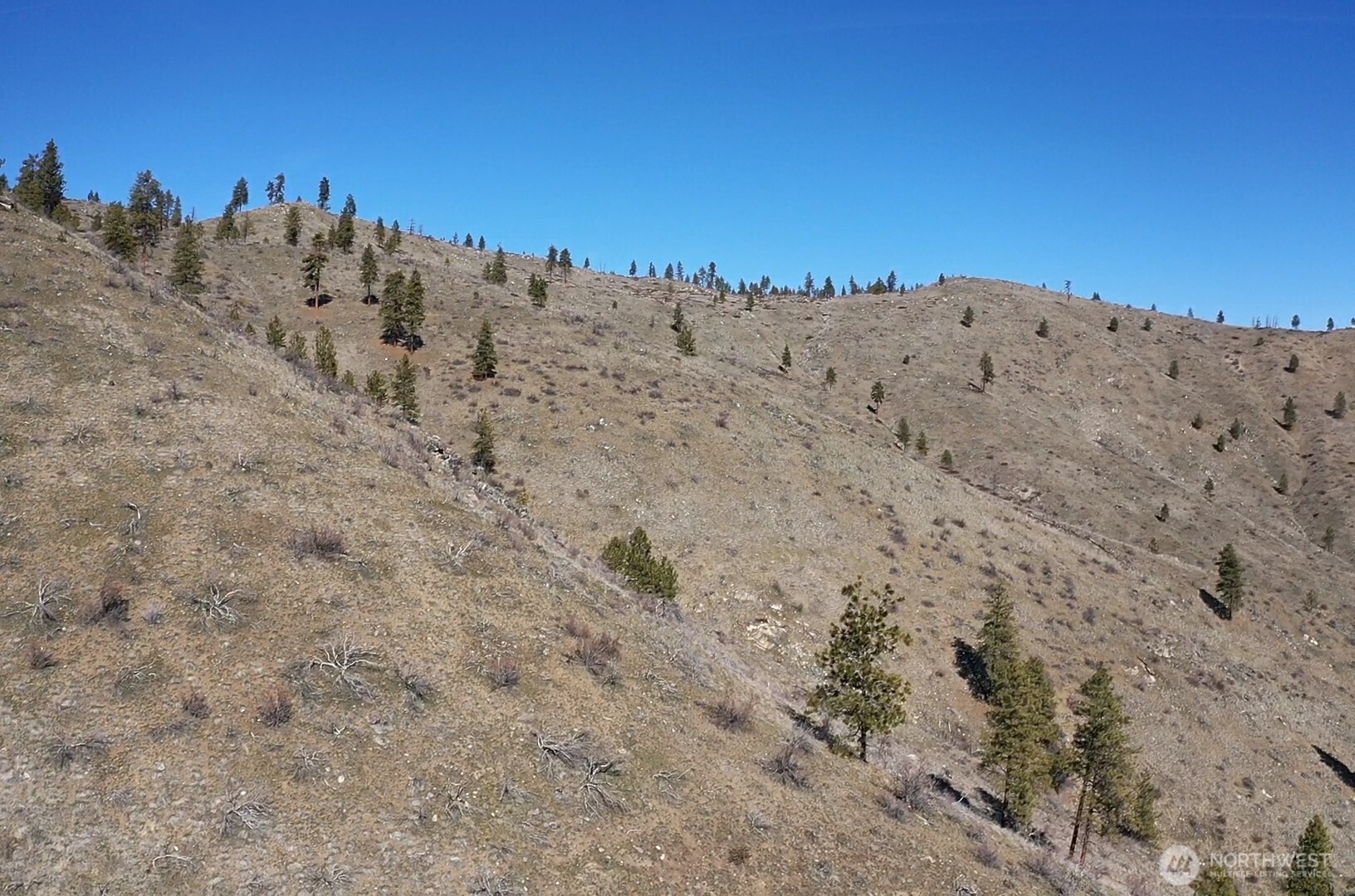 -nhn Washington Creek Road Chelan, WA 98816 - Photo 12 of 19 a view of a dry field with a mountain in the background