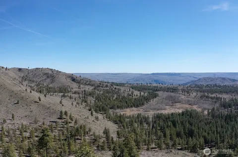 a view of a mountain range with trees