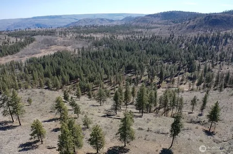 a view of a large mountain with trees in the background