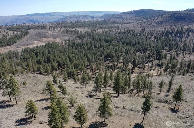 a view of a large mountain with trees in the background