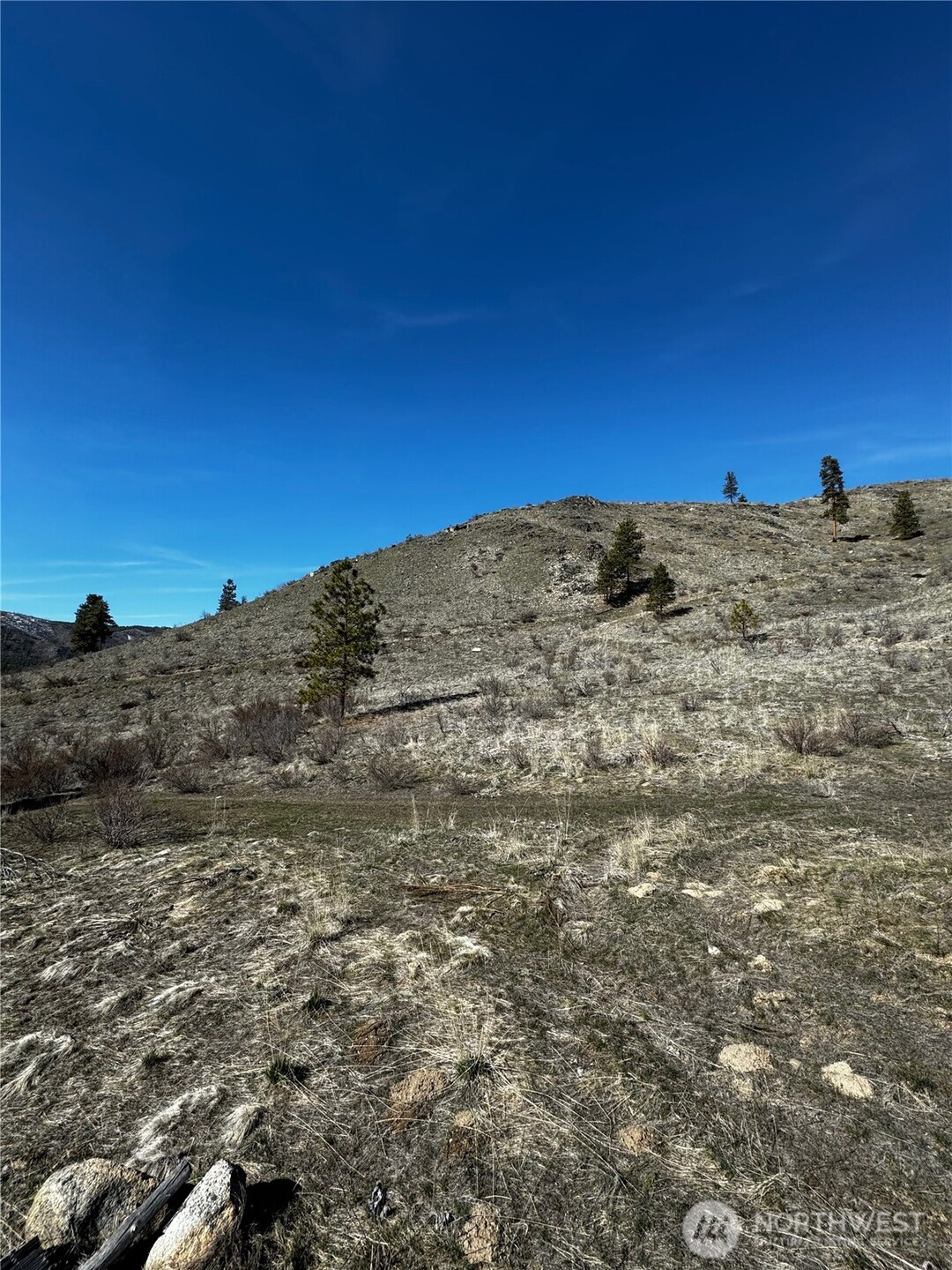 -nhn Washington Creek Road Chelan, WA 98816 - Photo 3 of 19 a view of ocean