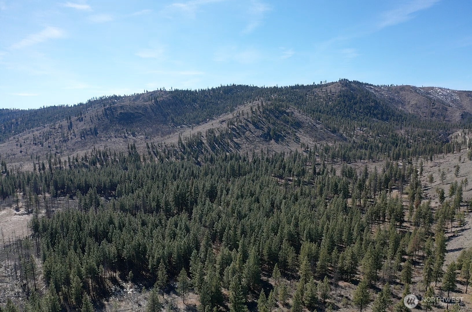 -nhn Washington Creek Road Chelan, WA 98816 - Photo 4 of 19 a view of a lush green field