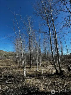 a backyard of a house with lots of trees