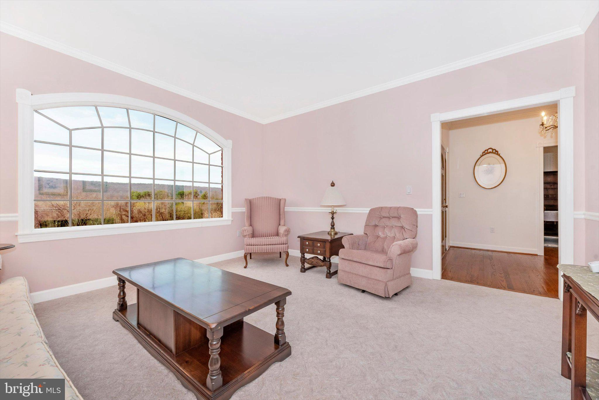 20405 Gap Court Rohrersville, MD 21779 - Photo 22 of 51 Serene pink-hued living space.