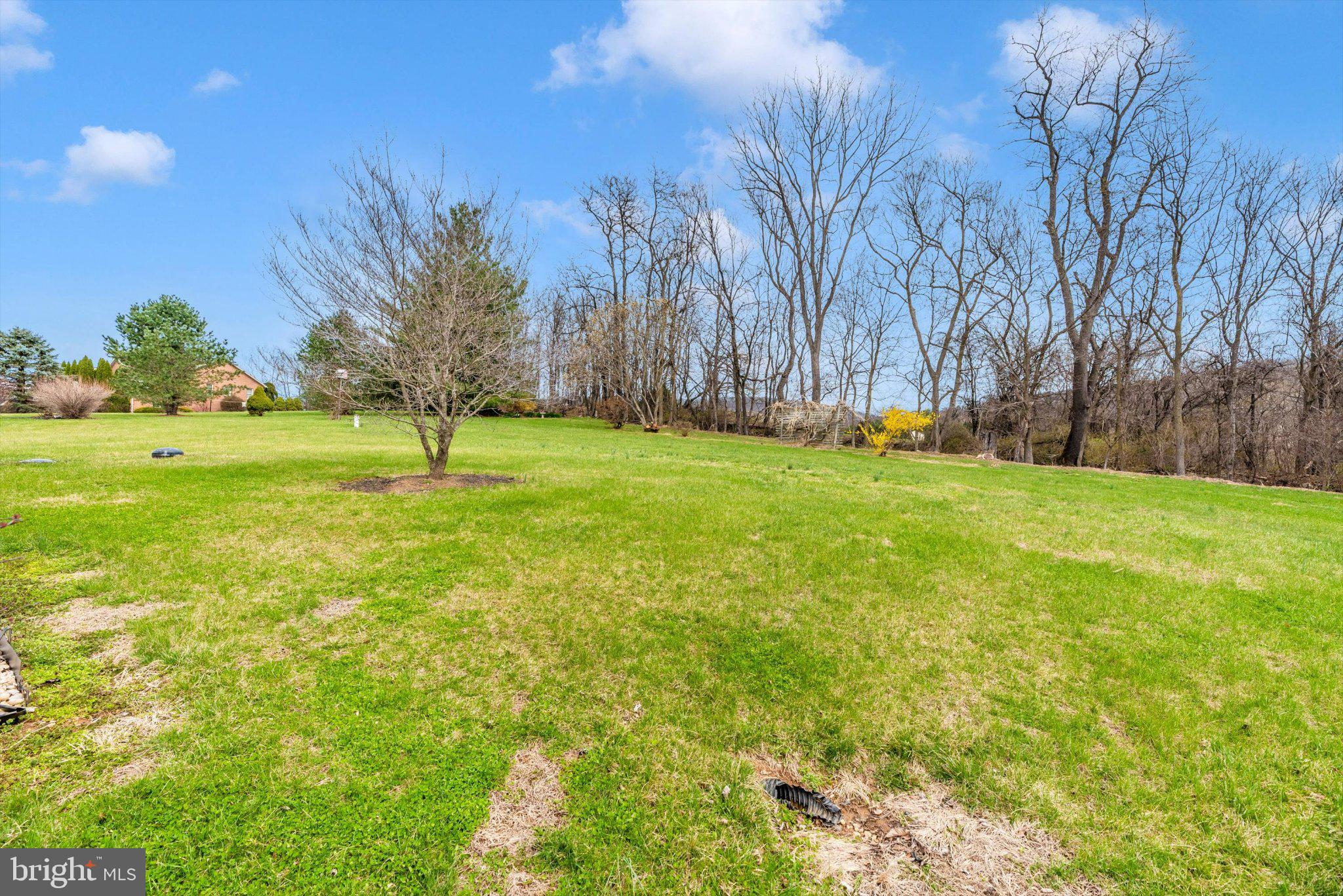 20405 Gap Court Rohrersville, MD 21779 - Photo 42 of 51 Spacious green landscape with trees.