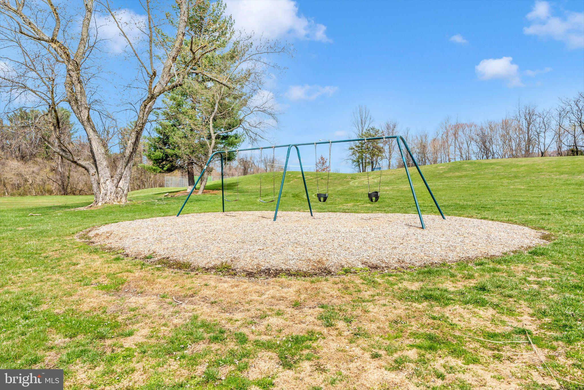 20405 Gap Court Rohrersville, MD 21779 - Photo 49 of 51 Playground Bliss in Nature's Embrace