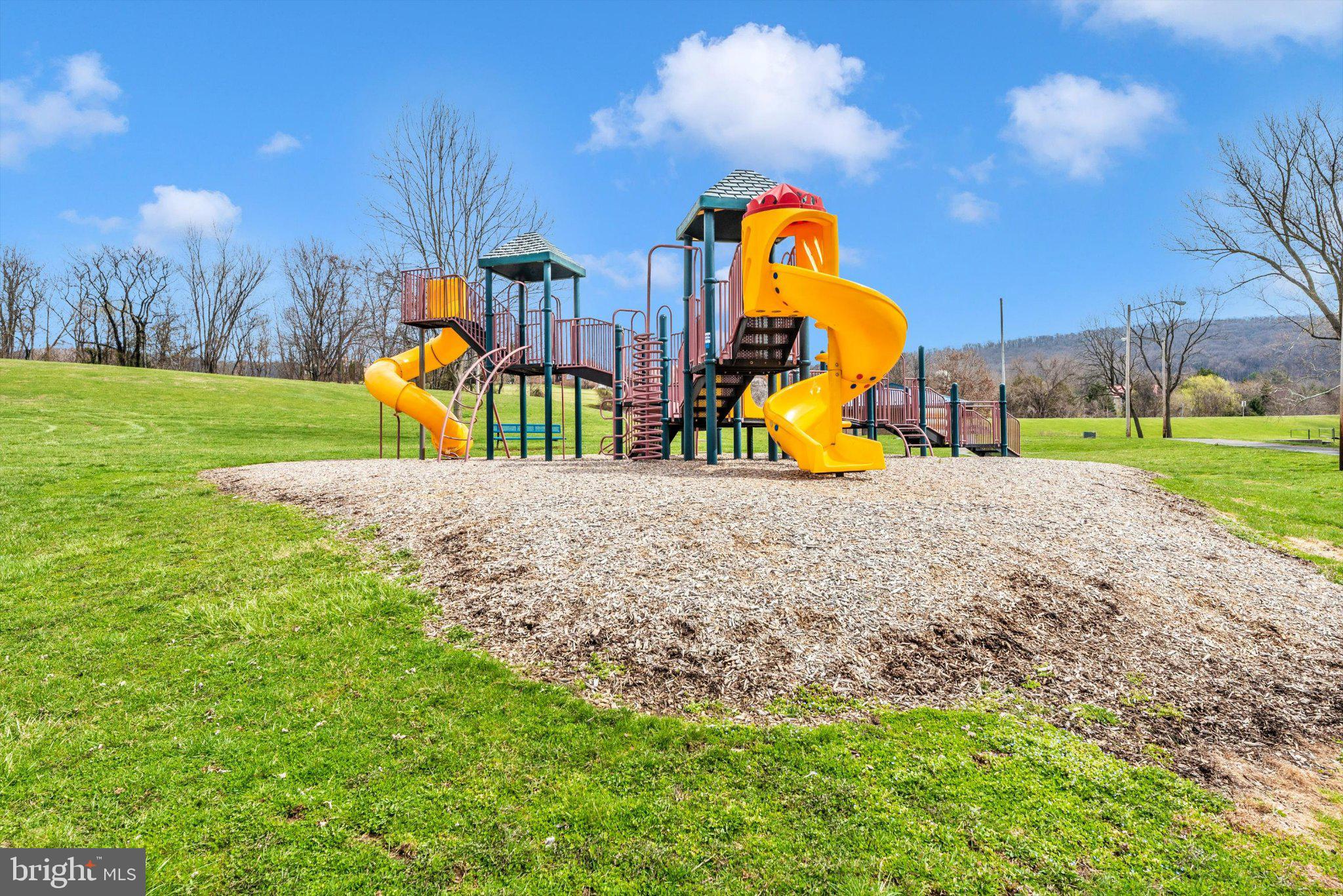 20405 Gap Court Rohrersville, MD 21779 - Photo 51 of 51 Vibrant playground for endless fun!
