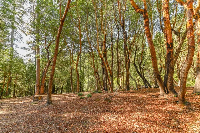a view of outdoor space and yard