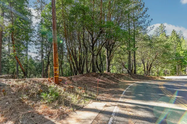 a view of a yard with large trees