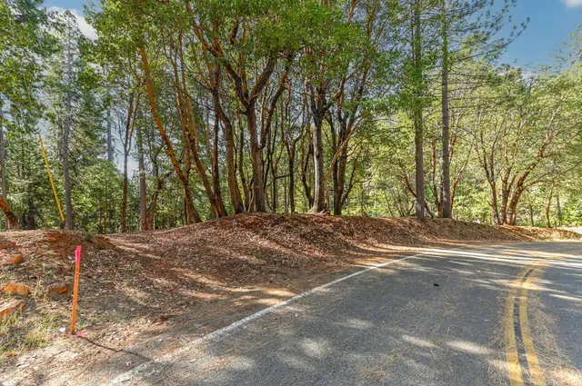 a backyard of a house with large trees