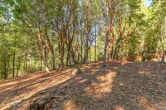 a view of outdoor space with trees