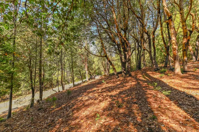 a view of outdoor space and yard