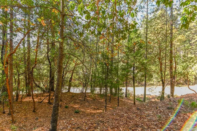 a view of outdoor space with deck and trees