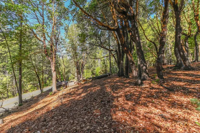 a view of outdoor space and yard