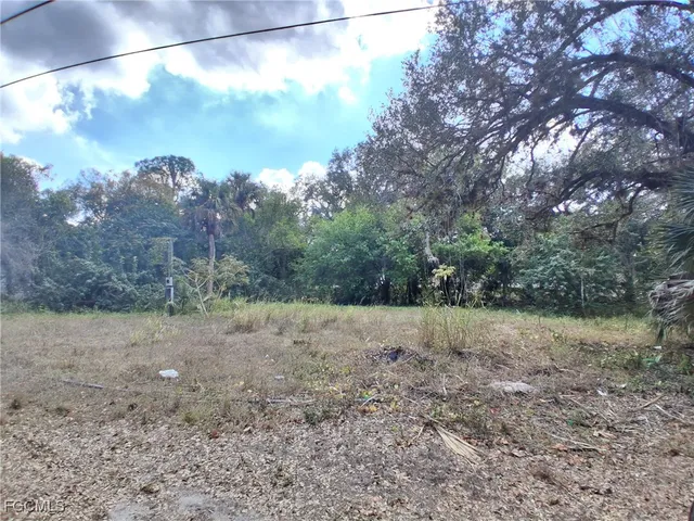 $25,000 | 839 Caloosahatchee Avenue, LaBelle, FL 33935