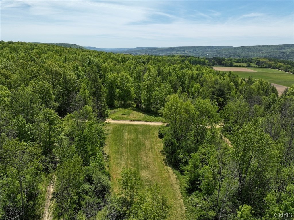 River Road Belmont, NY 14813 - Photo 6 of 23