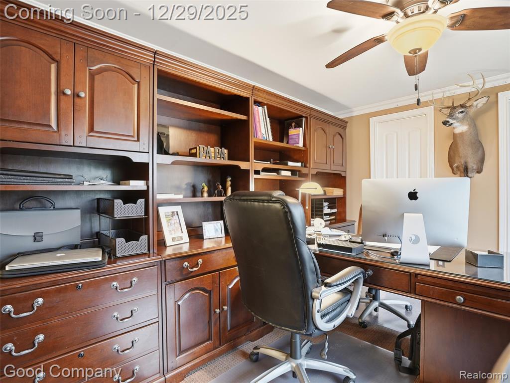 25625 Napier Road South Lyon, MI 48178 - Photo 25 of 60 Gallery Image 25