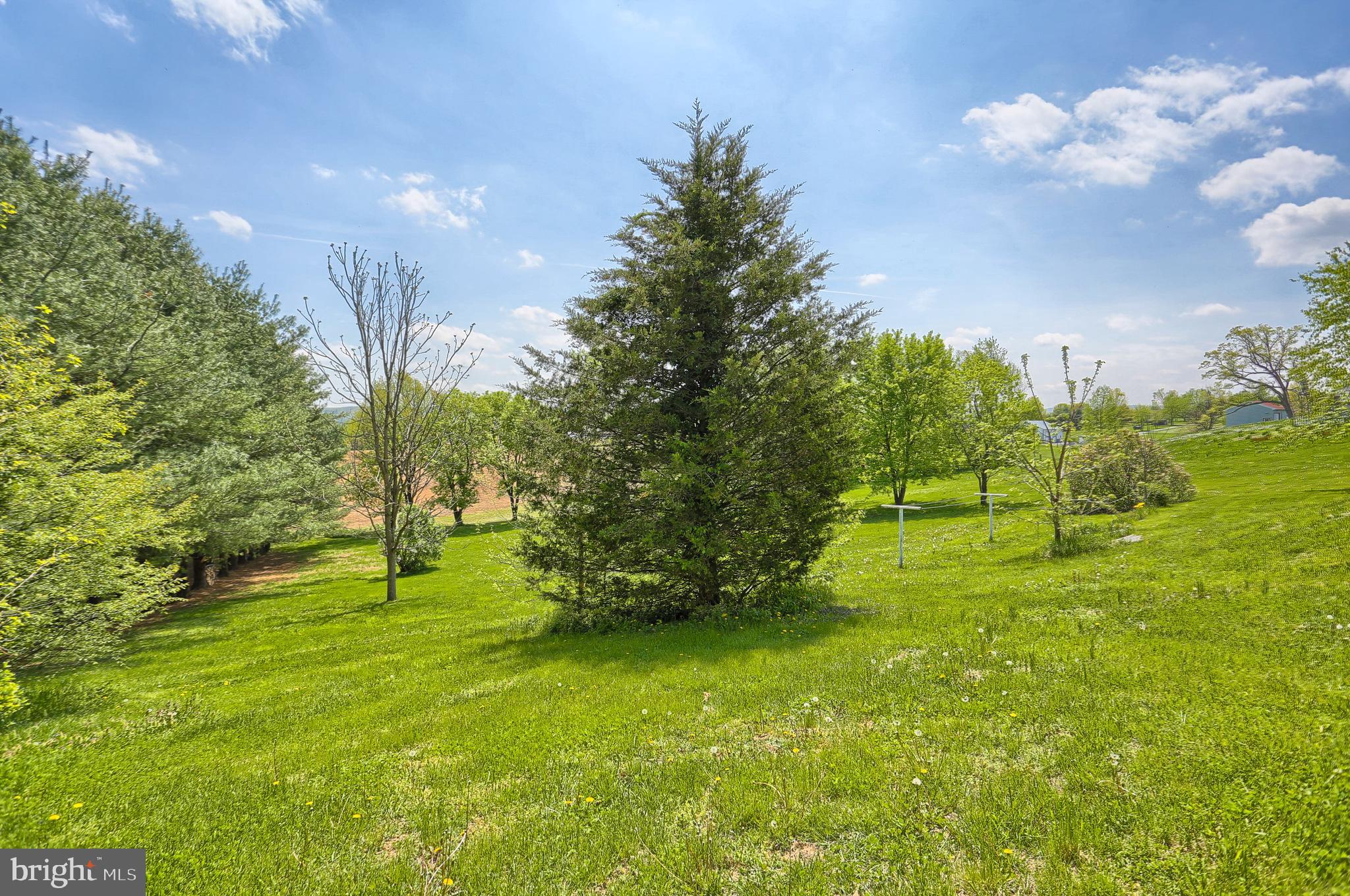 2312 Walnut Bottom Road Carlisle, PA 17015 - Photo 32 of 36 Gallery Image 32