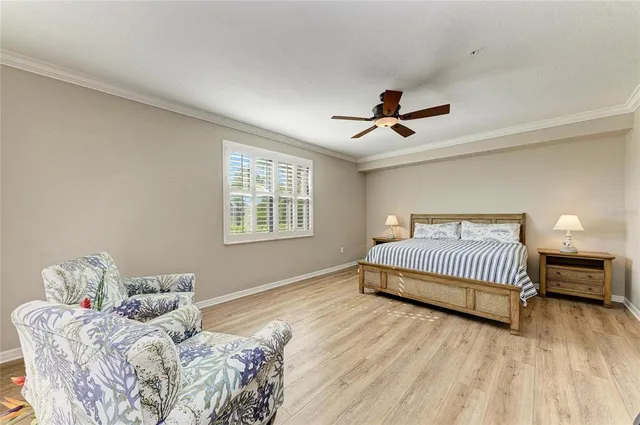 a view of a swimming pool with a garden