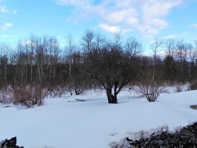 906 County Rt 408 Westerlo, NY 12193 - Photo 24 of 27 Photo 27