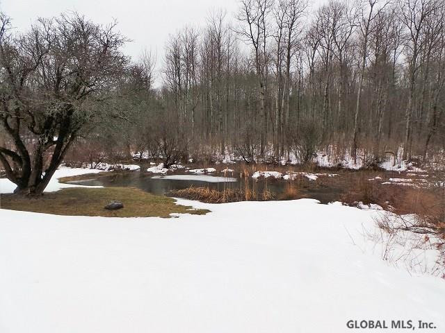 906 County Rt 408 Westerlo, NY 12193 - Photo 25 of 27 Photo 28